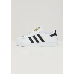 Baskets Sportives Superstar Blanches