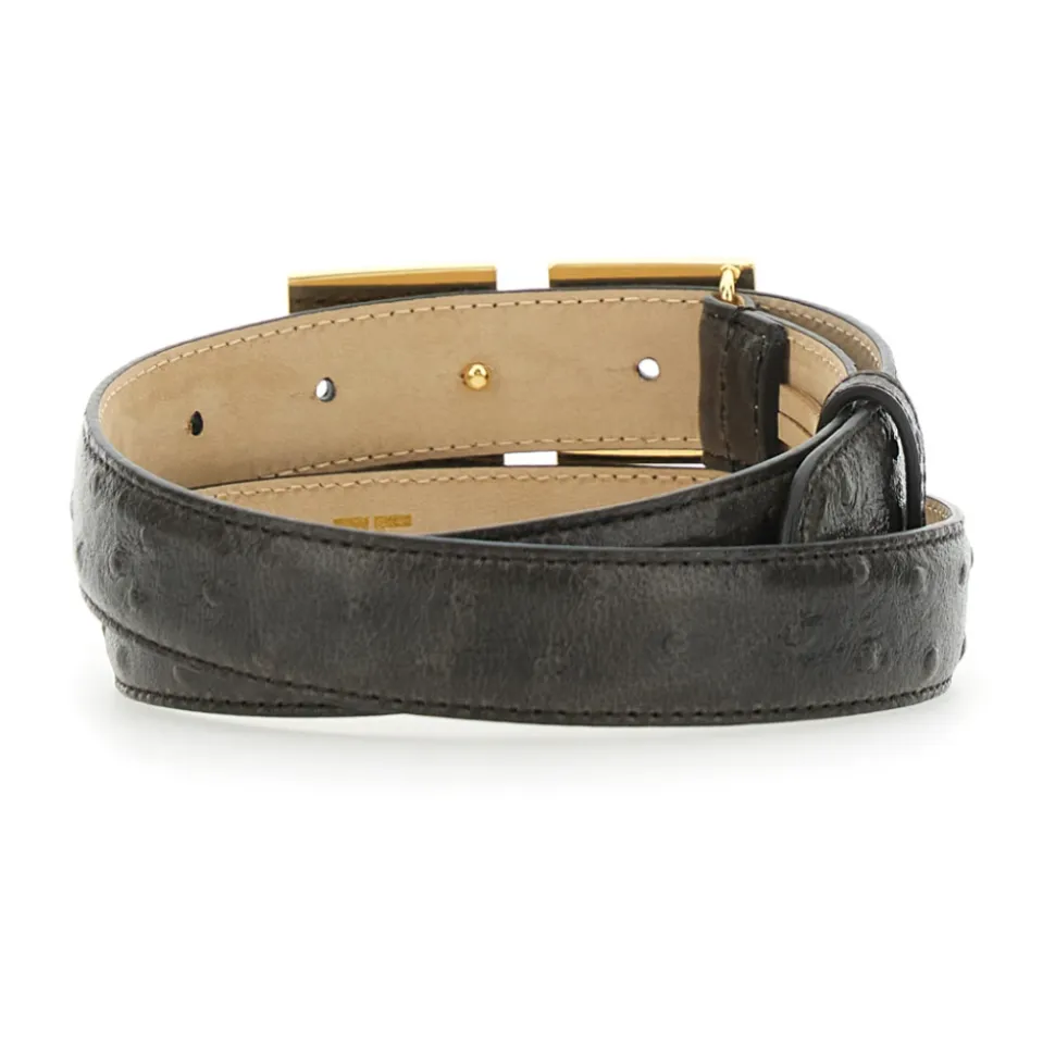 BELTS