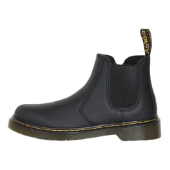 Bottines Zippées en Cuir