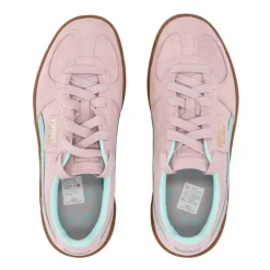 Chaussure Palermo Basse