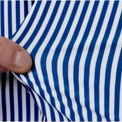 Chemise Active Slim Fit Rayures Bleues