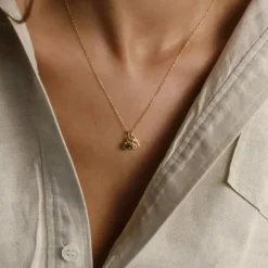 Collier étanche Capricorne avec Grenat