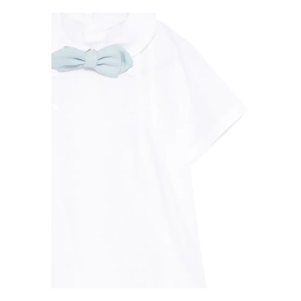 Completino papillon