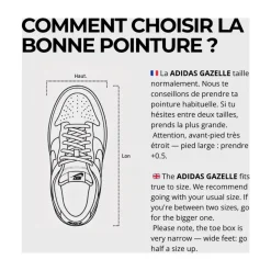 Gazelle Indoor