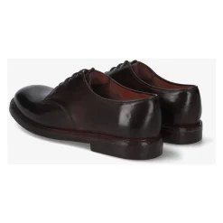 Laced in Cordovan