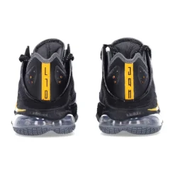 LeBron XIX Low Baskets