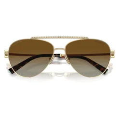 Lunettes de soleil élégantes en dégradé marron