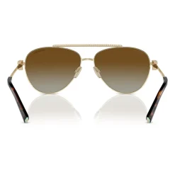 Lunettes de soleil élégantes en dégradé marron