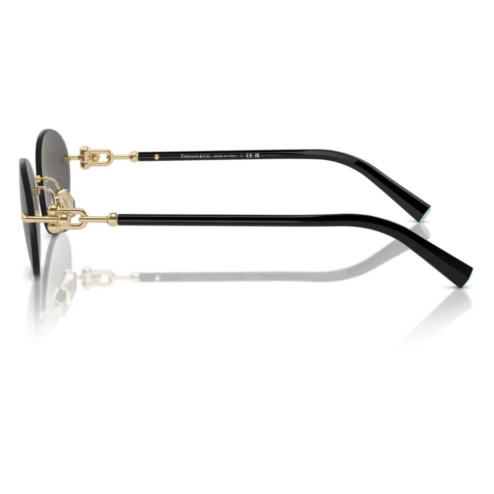 Lunettes de soleil Modèle TF3104D 6216S4