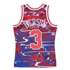 Maillot Swingman 5.0 Hardwood Classics 1996