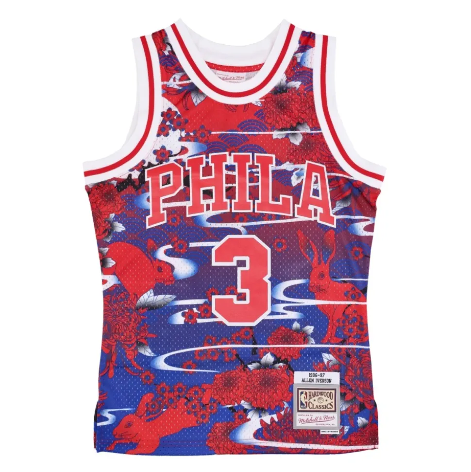 Maillot Swingman 5.0 Hardwood Classics 1996