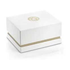 Mystique Sport Chronographe Bracelet en Cuir