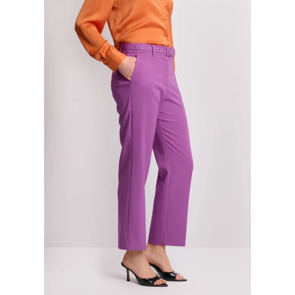 Pantalon sophistiqué monochrome longueur cheville