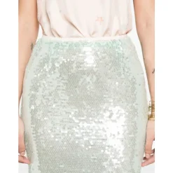 Sequined Long Skirt
