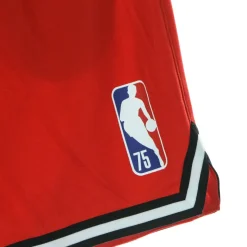 Short de basketball Courtside DNA 75