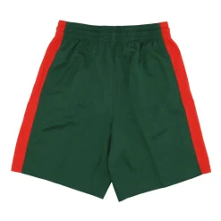 Shorts Équipe de Basket Lituanie Vert/Rouge
