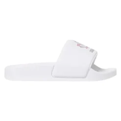Slides