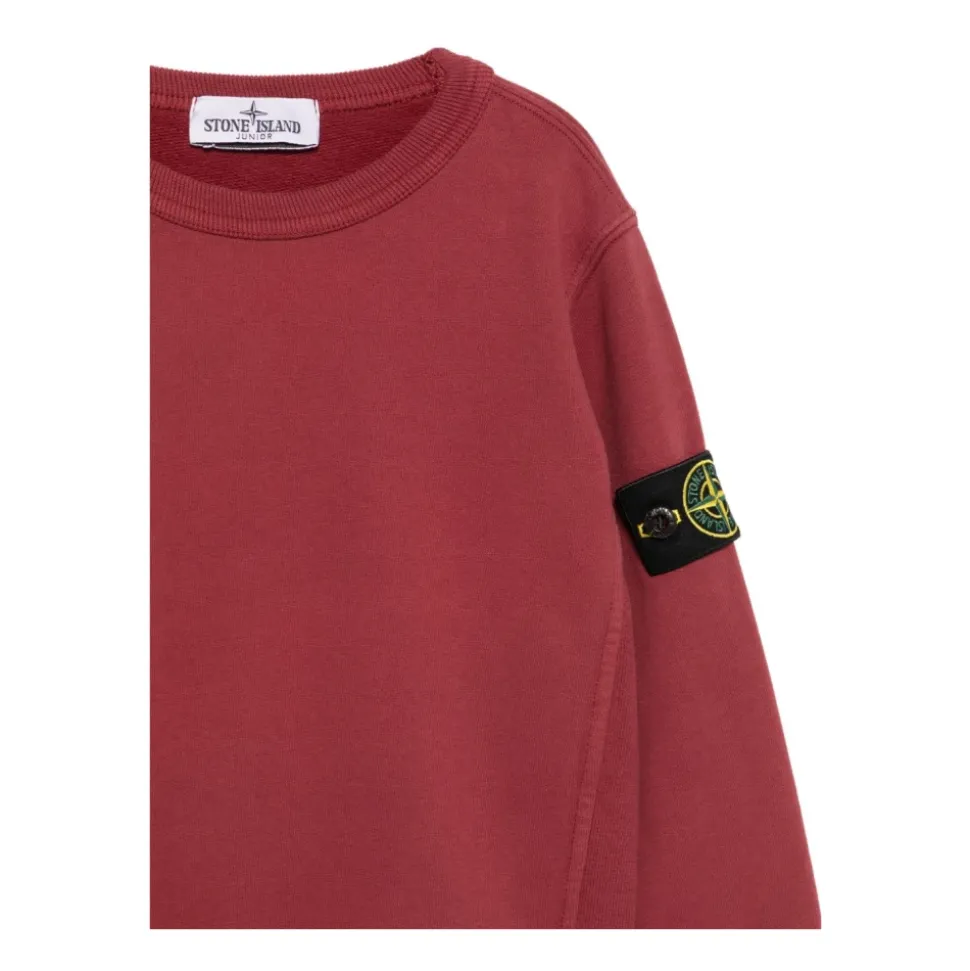 Sweatshirts Stone Island