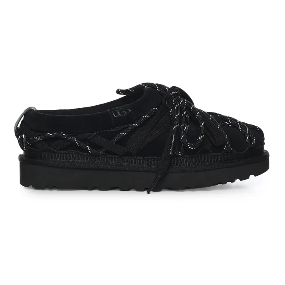Tasman Lace