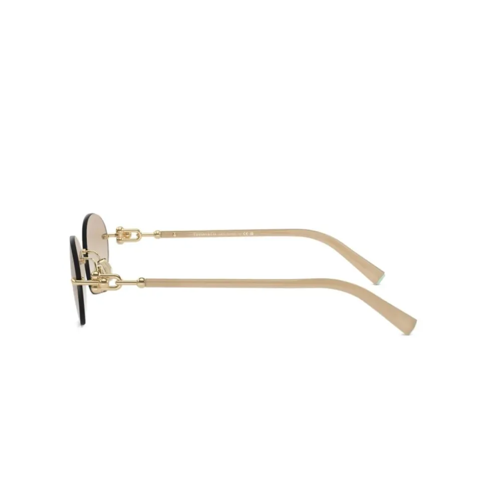 TF3104D Sunglasses
