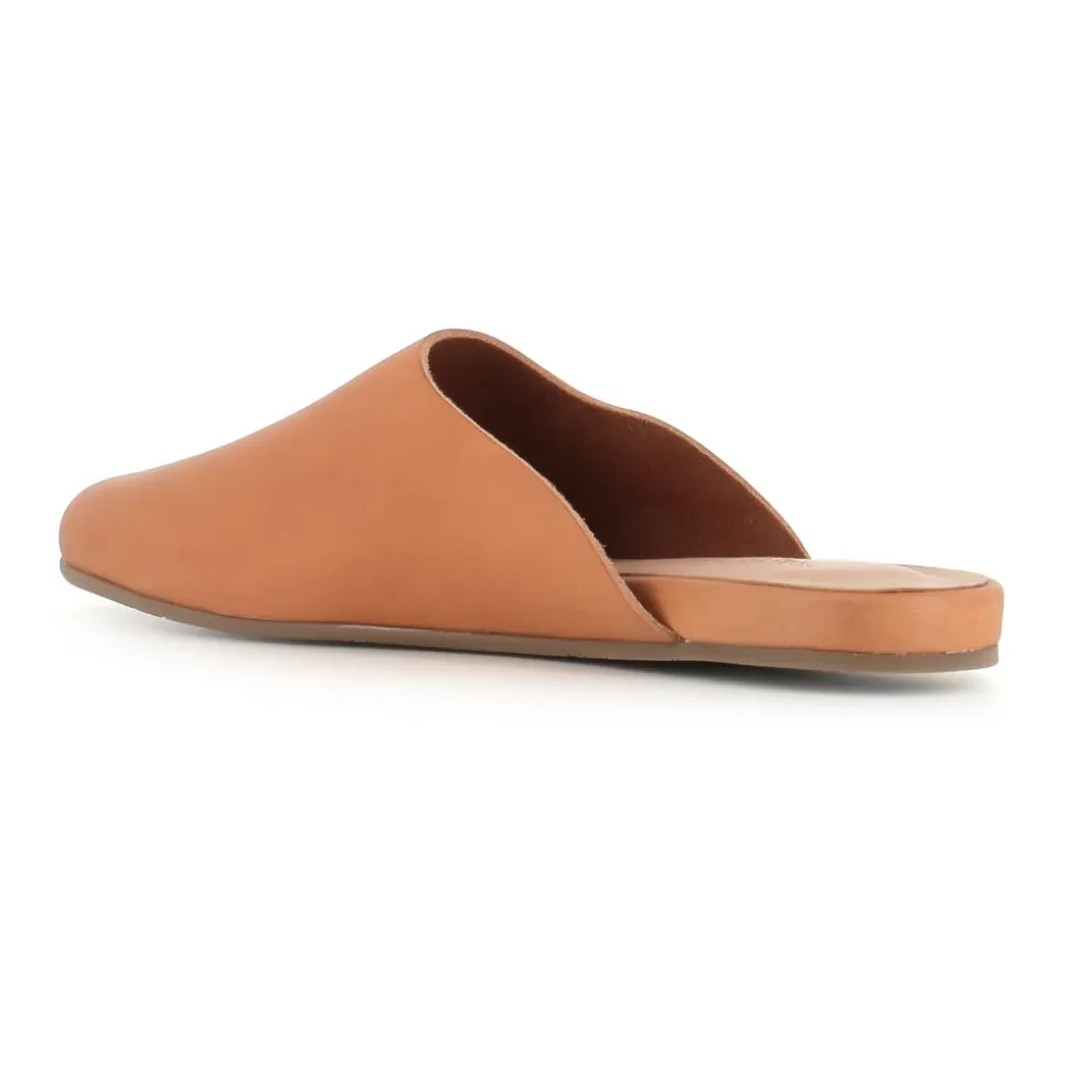 The Slipper
