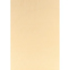 Toute la V Scarf