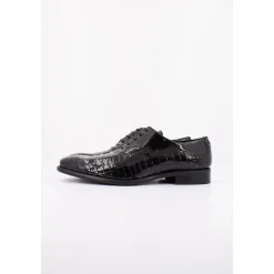 Zapato Cordones