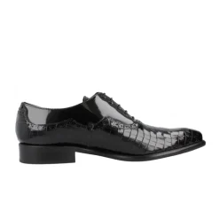 Zapato Cordones