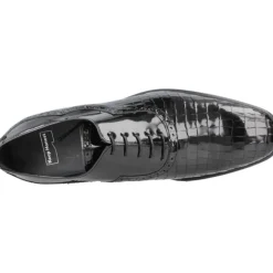 Zapato Cordones